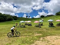 차우스야마 고원