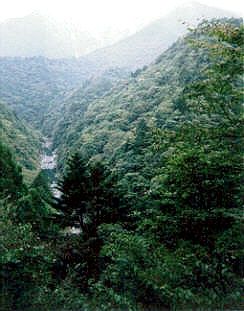 셋소 협곡오이가와 철도 이가와선 차내에서 촬영