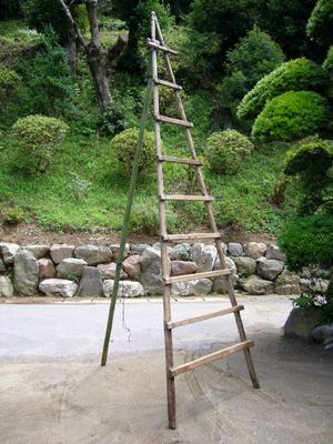 조경용 나무와 대나무로 만든 삼각대