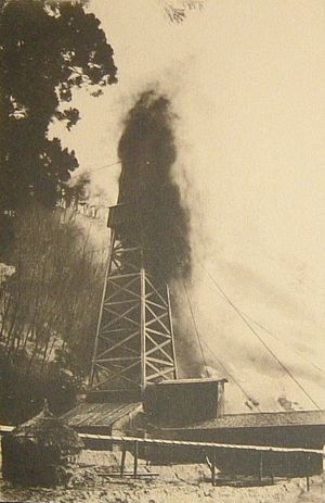 과거의 오모 유전