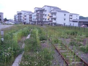 차막이 (2007년 6월)