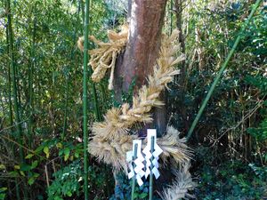 지부촌의 뱀 감기