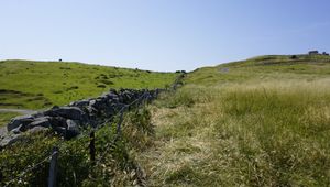 아카하게 산의 묘가키