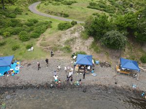 소라 잡기 대회