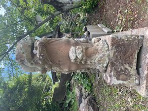 자녀를 데리고 있는 사자