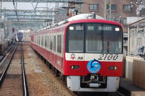 유아부 해양 공원 호(2019년 3월)