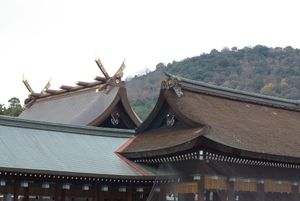 폐전(내부)와 내배전