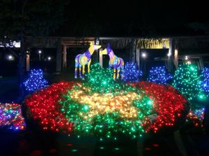 나이트 주라시아