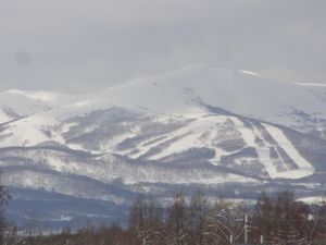 화이트 아일 니세코