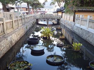 태고병과 극락호 석축