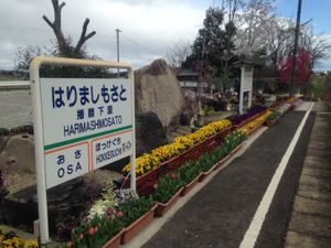 승강장 위에 있는 돌 정원