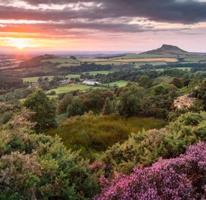 노스요크 무어스에 있는 로즈베리 토핑(Roseberry Topping)