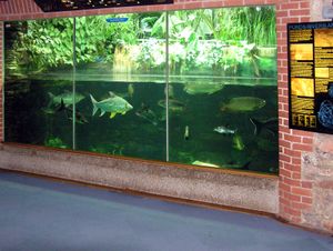 동물원 수족관의 동남아시아 수조.