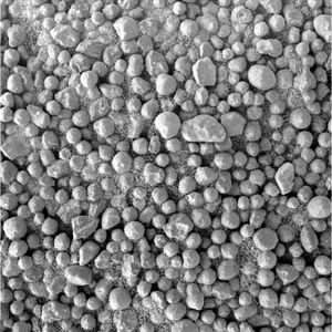 그림 19. 빅토리아 크레이터 북서쪽 약 500m 지점의 작고 느슨한 적철석 구체 (1~2mm). 910일차(2004년 8월 15일) 촬영.