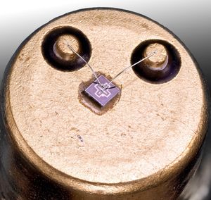 단일 NPN 쌍극 접합 트랜지스터 다이