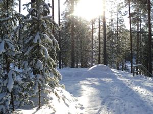 겨울의 이마트라