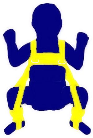 파블릭 보장구 도해