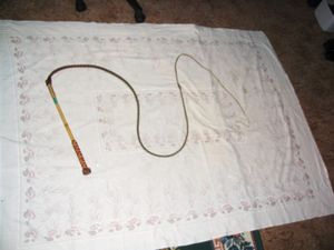 호주의 스톡채찍