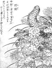 『지금 옛 그림 속 속 백귀』의 "노즈치" (도리야마 세키엔, 1779년)