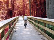 케이프 피어 강 트레일