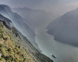 2019년의 우 협곡