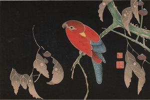 18세기에 일본에서 그려진 금강앵무. 이토 자쿠츄의 『떡갈나무와 앵무새 그림』.