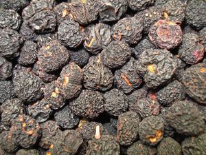 타스마니아 란케올라타}}(시키미모도키과)의 건조 열매