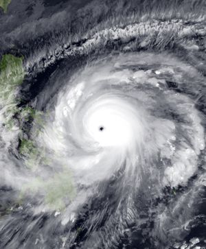 태풍 수리개의 위성 사진