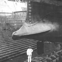 영국 수뢰 충각함 폴리페머스(재역 1882년 ~ 1903년)의 충각. 어뢰 발사관을 갖춘 특이한 형태.