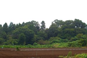 아사마야마 고분