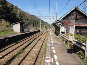 플랫폼(2018년 11월)