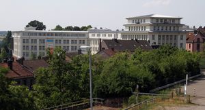 피르마젠스 라인베르거