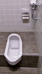 소변기를 겸하는 대소변기.