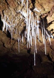 백사동(승룡동의 일부, 오키노에라부섬)의 종유관