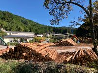 시타라 산림 조합