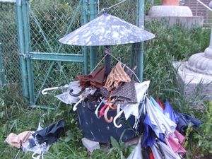 바다 갈매기의 배설물 피해를 피하기 위해 우산이 놓여 있다(2010년 6월)