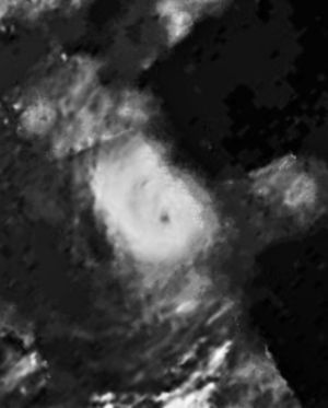 1972년 태풍 롤라