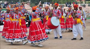 국제 낙타 축제