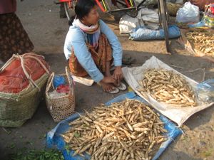 어린 버마 여성이 만달레이 시장에서 날개콩 뿌리를 판매하고 있다.