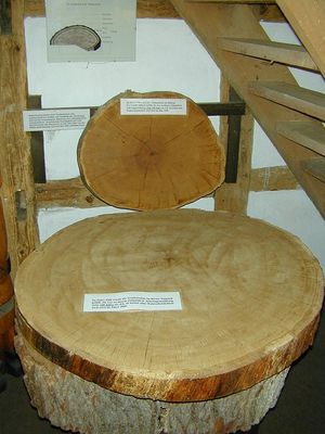 프랑스 오크의 더 촘촘한 결은 와인에 맛이 더 점진적으로 통합될 수 있도록 한다.