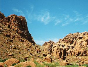 세인트조지 주변 지역의 대부분은 자연적으로 밝은 붉은색을 띤다