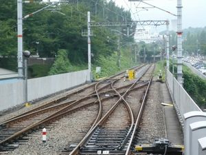 차막이 (씨저스 크로싱)