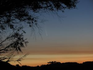 1월 18일 뉴질랜드 푸케코헤에서 촬영