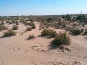 콜로라도강이 2009년 9월 샌 루이스 콜로라도-콜로니아 미겔 알레만 다리 아래에서 미국을 나와 멕시코로 들어가는 모습