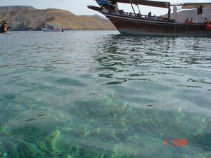 다이빙으로도 알려져 있다.