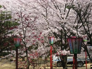 고마루야마 공원