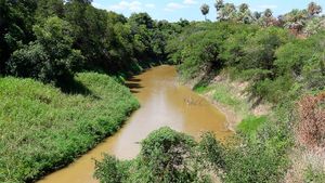 아르헨티나 리오 필코마요 국립공원에서 바라본 필코마요 강.