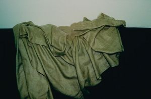 티베트영양은 털을 얻기 위해 죽임을 당하며, 이는 고급 직물인 샤투쉬로 만들어져 종의 생존을 위협한다.