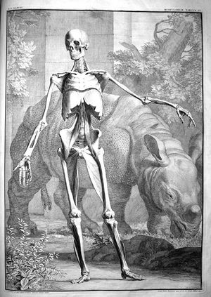 1742년 얀 반델라르의 판화