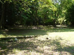 본환터 중심 부분